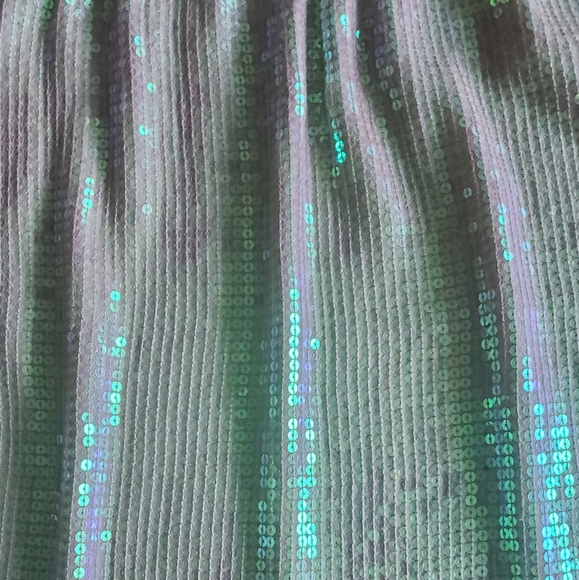 ๐ 2X HOST PICK ๐ BCBG MaxAzria Sequins Silk Skirt - Picture 11 of 15